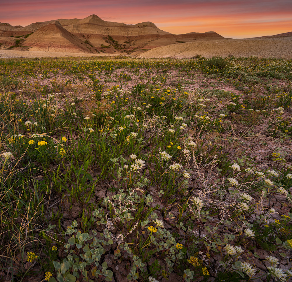 Badlands 9 Photography Art | Mario Cornacchione