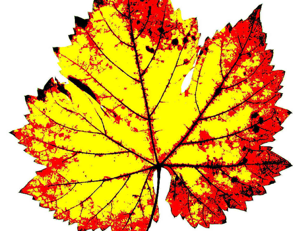Fall Leaf2