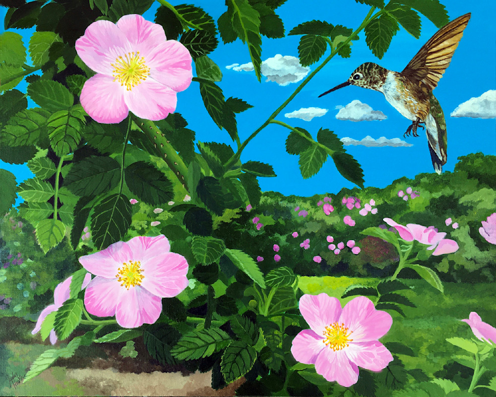 Hummingbird With Wild Roses Art | Judy's Art Co.