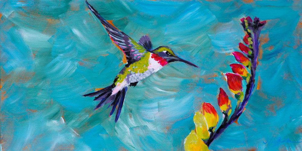 Hummingbird | Spanish Flag Vine Flower | Niki Baker