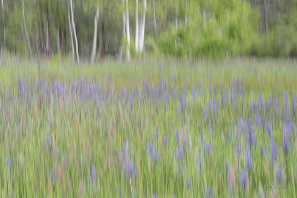 Impressionistic Spring Meadow I Photography Art | Niobe Burden Fine Art Photography