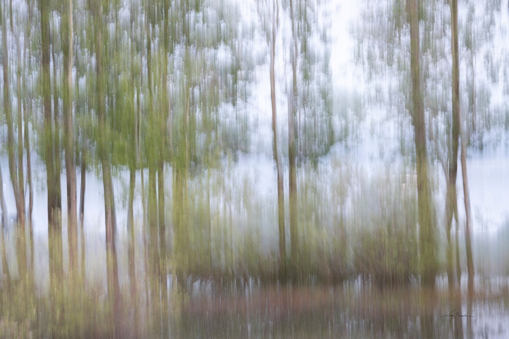 Abstract Lakeside Marsh I Photography Art | Niobe Burden Fine Art Photography