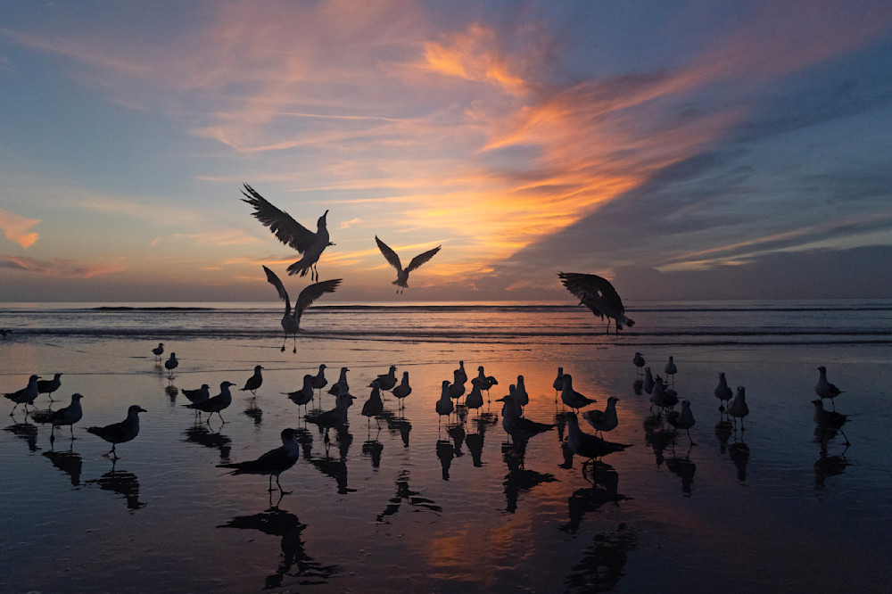 Open Hearted  Photography Art | Shelley Lynch Photography