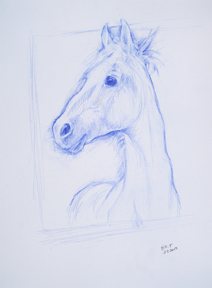 Famulus The Trakehner Stallion Art | EMT Fine Arts