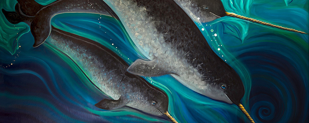 Narwhals Sm Art | Marissa of the North