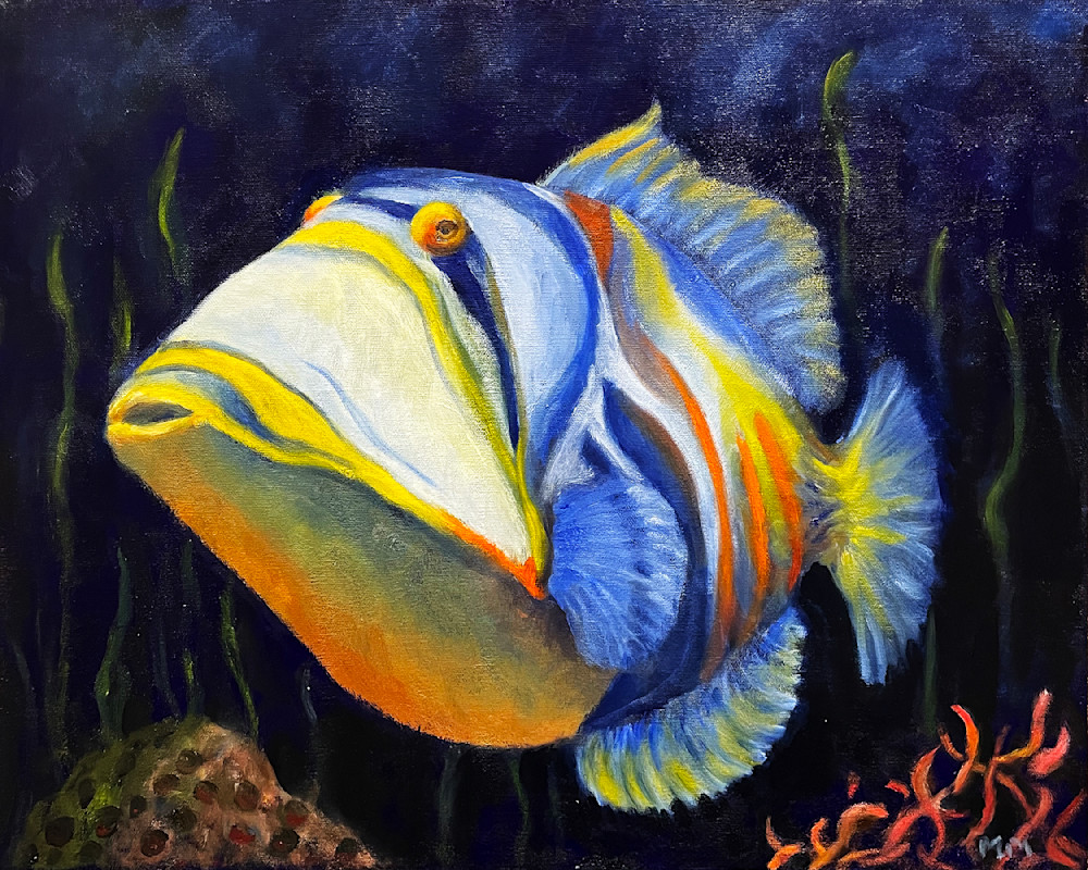 Picasso Triggerfish. Art | McHugh Fine  Art