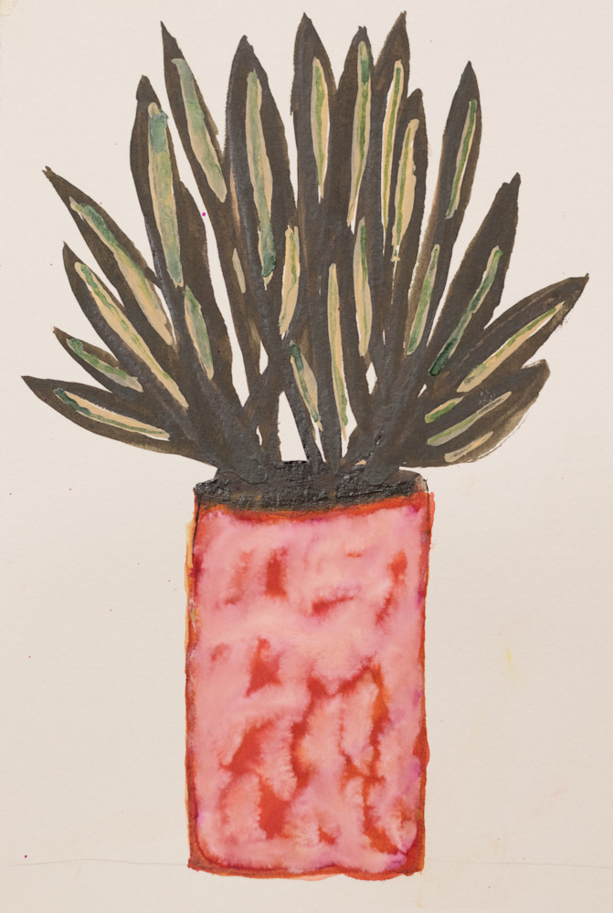 Succulent Art | Missie Quirk Fine Art