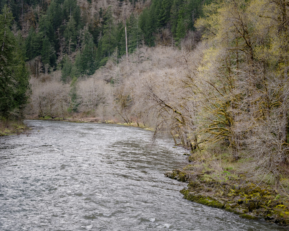 Nehalem River, Oregon, 2023