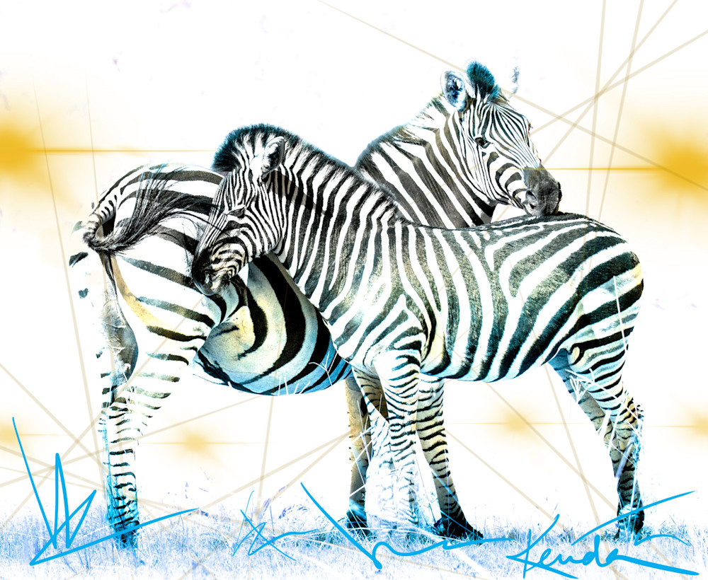 Zebra Love Art | Kenda Francis Art & Photography