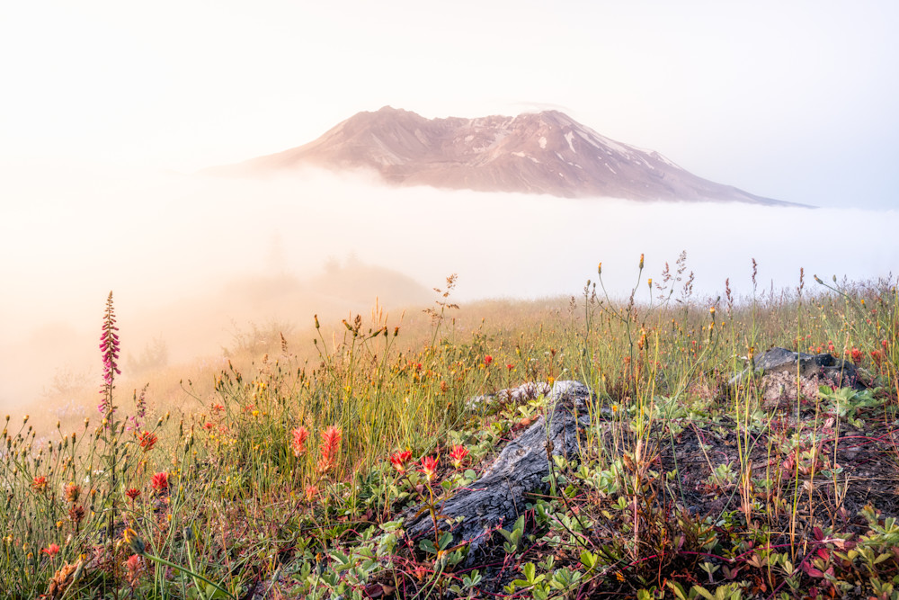 Mount St. Helens I   "Spring To Life" Photography Art | Michael Schober Photography