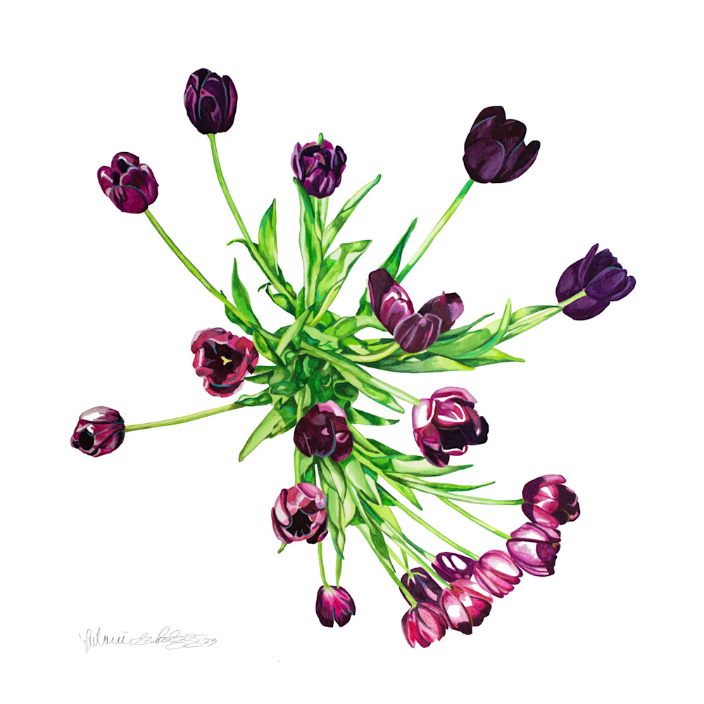 Purple Tulips Art | VeraChroma