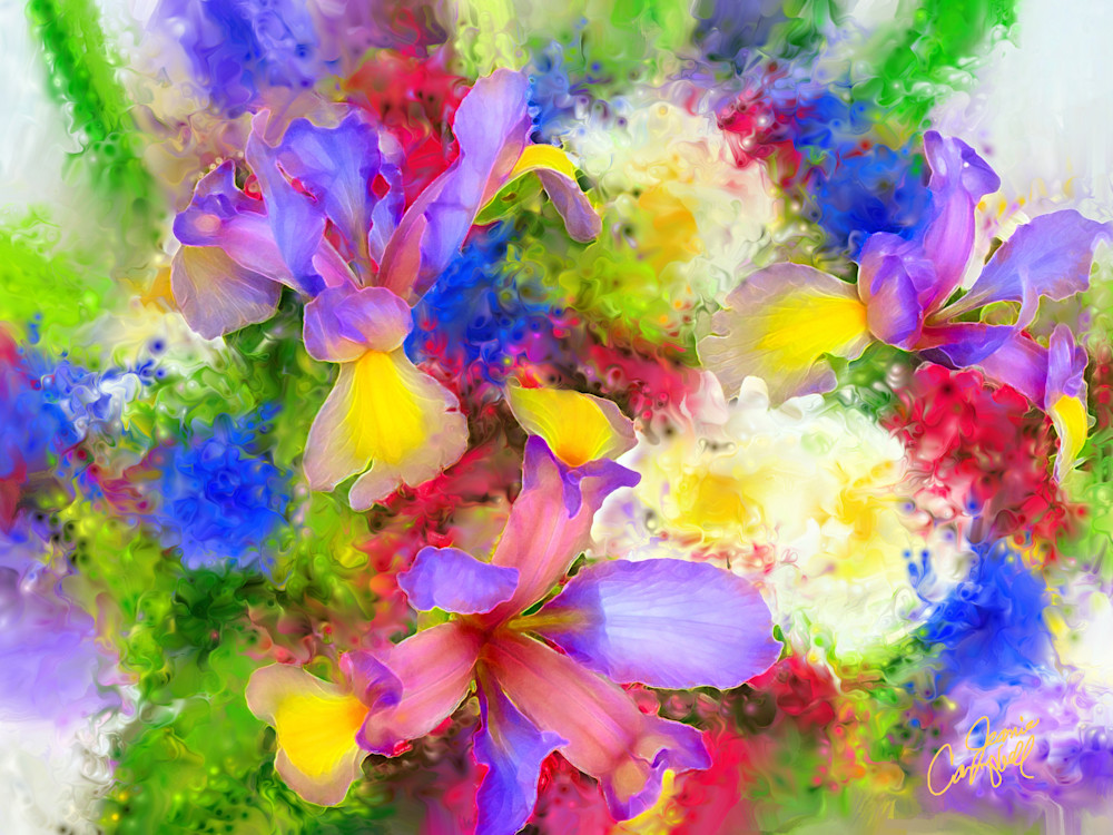 Dutch Irises In Bouquet  Art | Jeanie Campbell