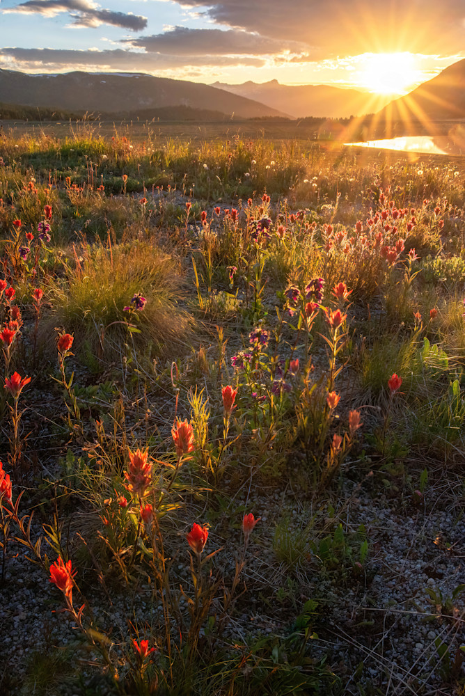 Paintbrush Horizon   Leadville, Colorado Photography Art | matthewryanphoto
