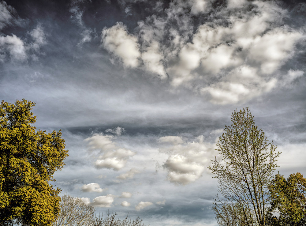 SKYSCAPE7