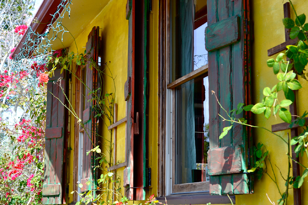 Shutter Art | Leslie Joy Ickowitz