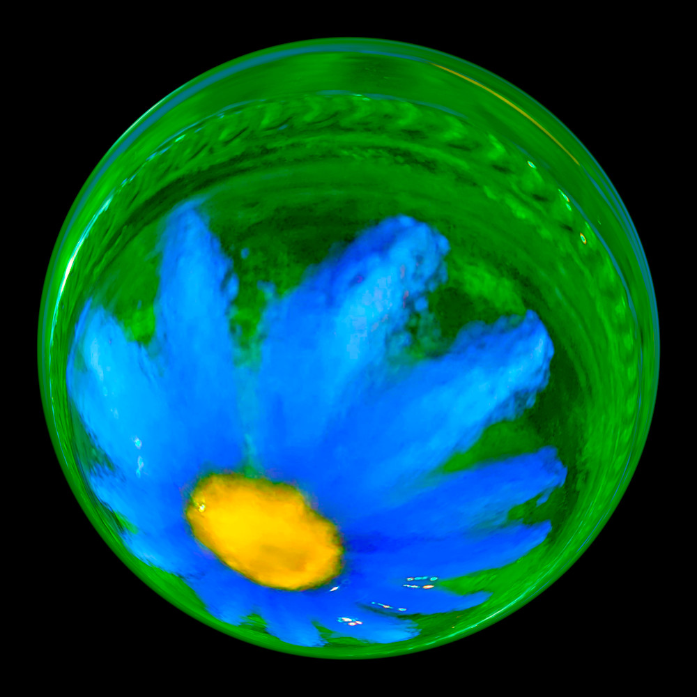 Daisy's Bottled Blues Photography Art | Portals for People