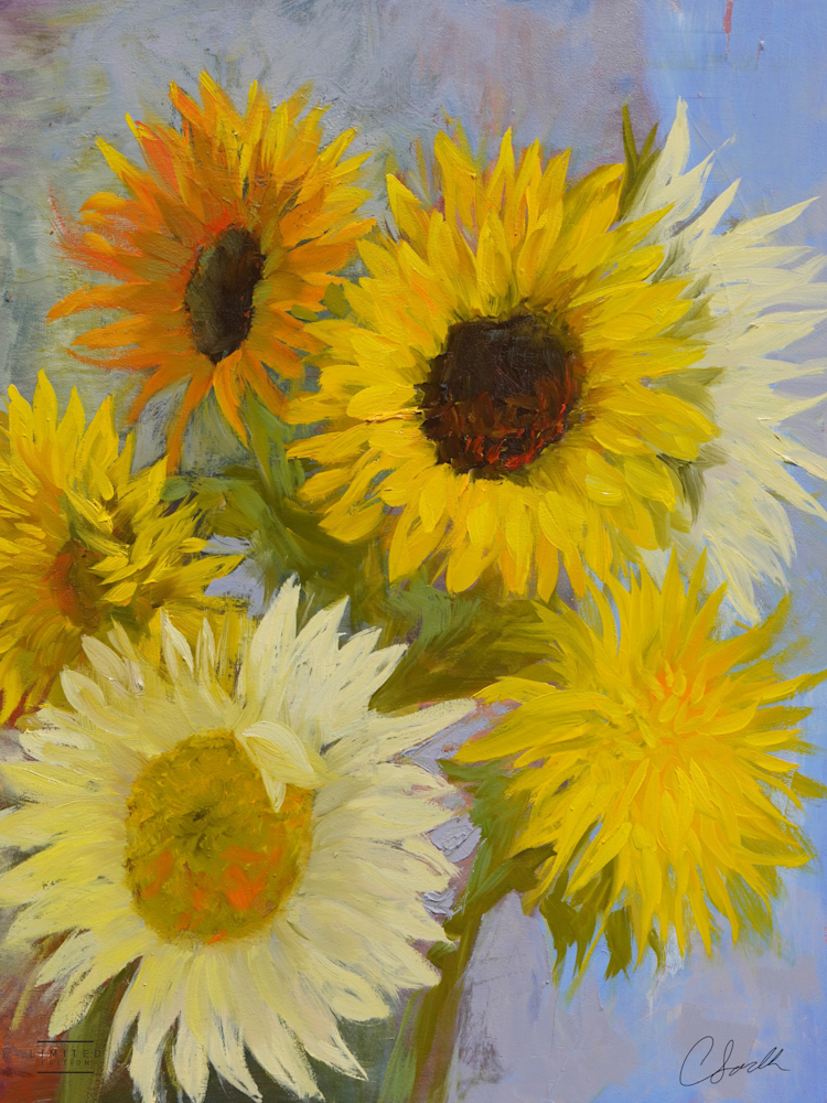 Bear Creek Sunflowers Le Art | Cindy Saadeh Fine Art