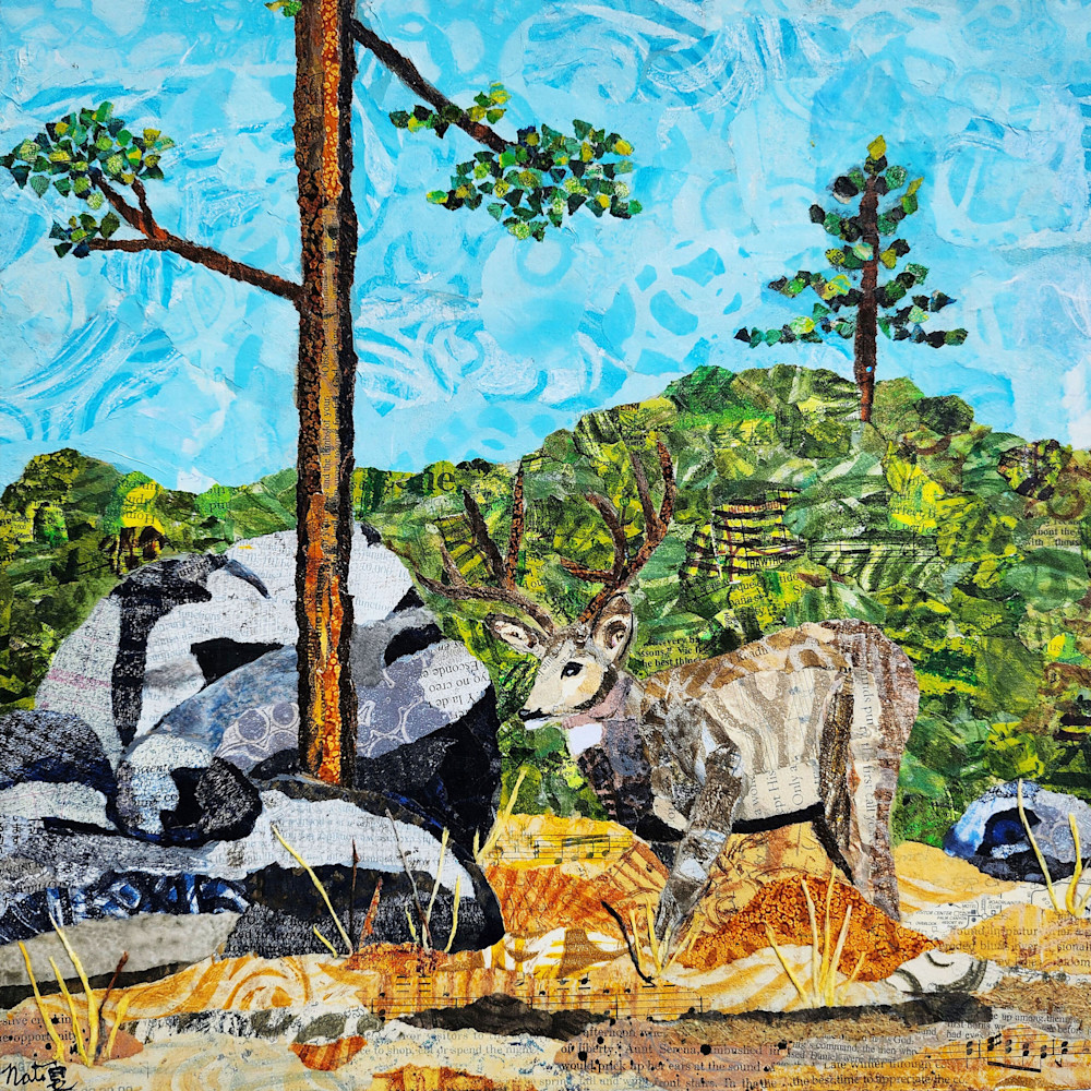 Wild Neighbors: Mule Deer Art | Poppyfish Studio