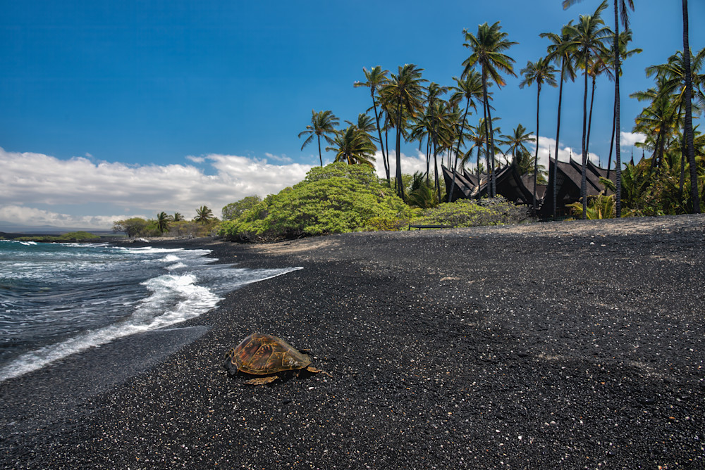 Turtle Beach, Hawaii