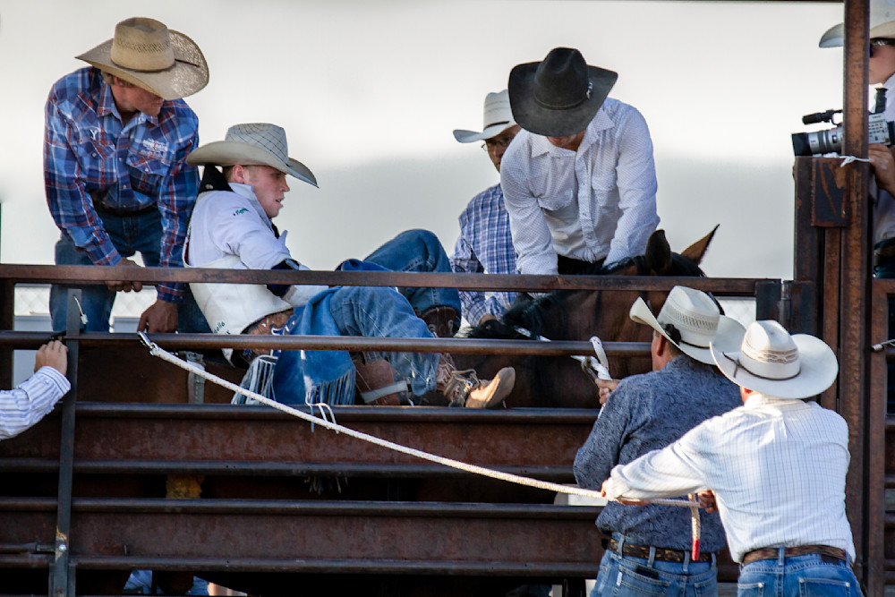 "In The Shute” – Bareback Cowboy / Jefferson County Nra Rodeo (Boulder, Montana)  Photography Art | Jim Storm Photography