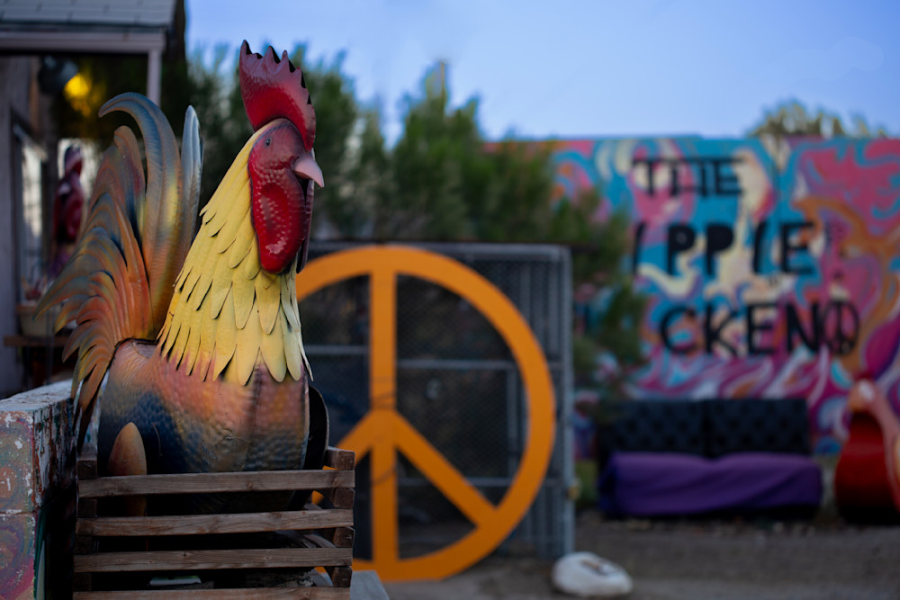 ”The Hippie Chicken” (Morongo Valley, California) Photography Art | Jim Storm Photography