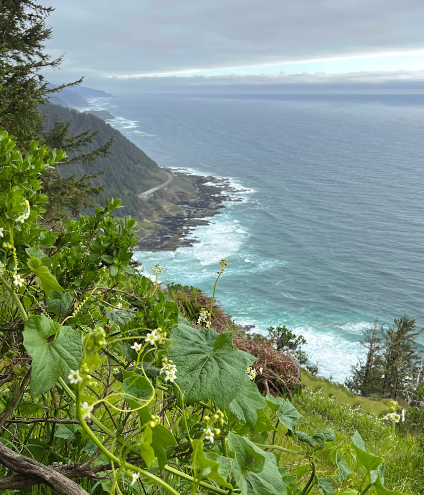 Cape Perpetua Oregon | Coastal Landscape Photography | Tim Truby