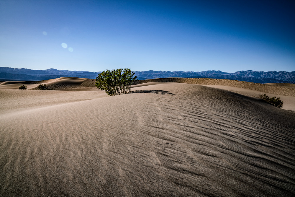 Death Valley Dunes 5 Photography Art | OMS Photo Art Store