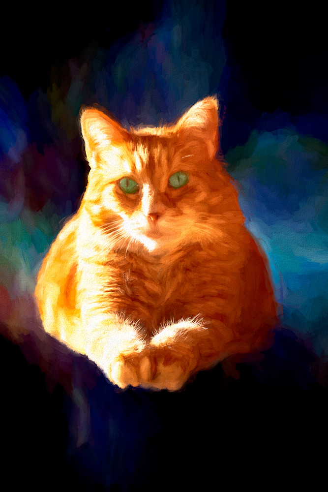 Philosopher Cat Art | Light Pixie Studio