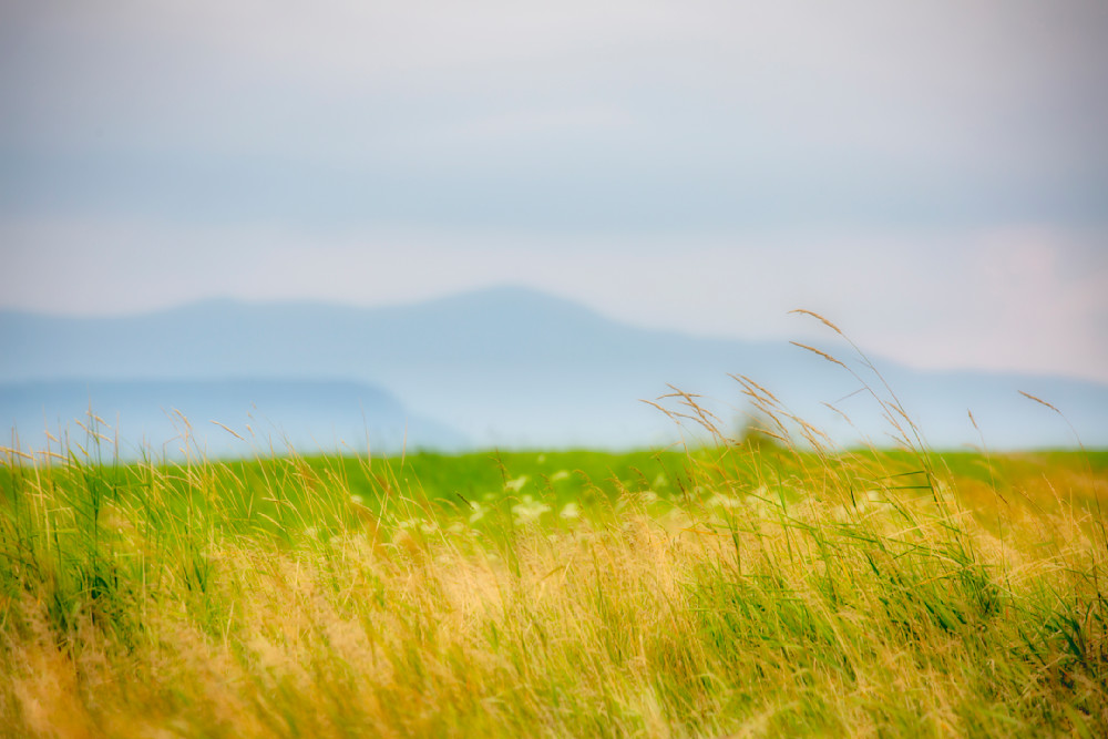 Dreamy Mountains And Grasses Photography Art | Anne Majusiak Photography