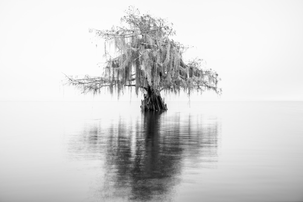 Solitude — Lake Maurepas fine-art photography prints