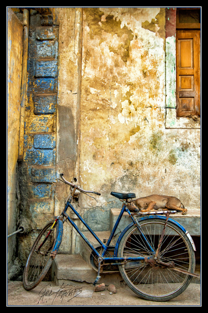 Blue Bike with Sleeping Dog, Varanasi