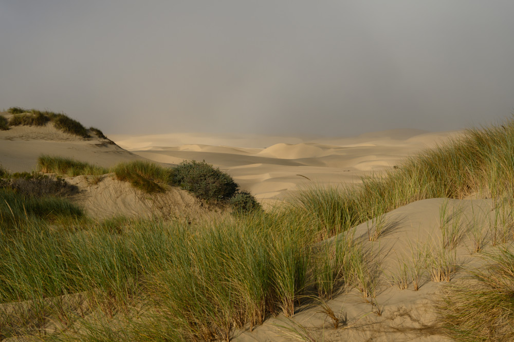 California Dunes No. 1 Photography Art | Aaron Miller Photography 
