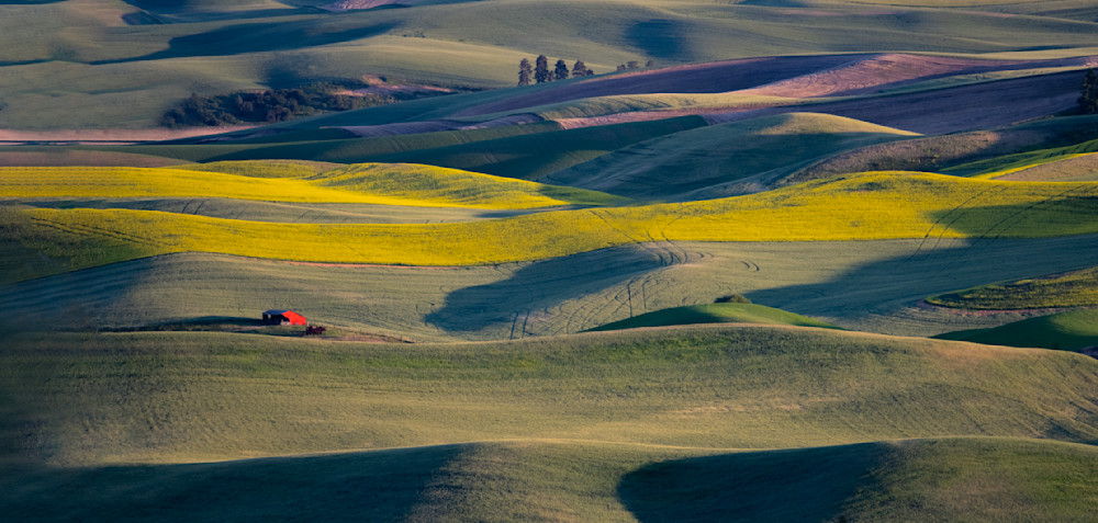 Palouse 6142 Photography Art | SilverTube Productions