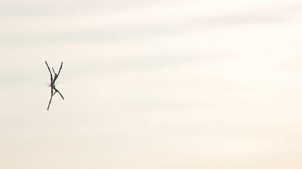 Foggy Morning Water K Photography Art | DCD Dixon Fine Art Photography