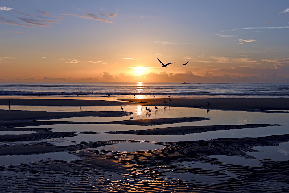 Tidal Pool Breakfast Photography Art | Don Kerner Photography