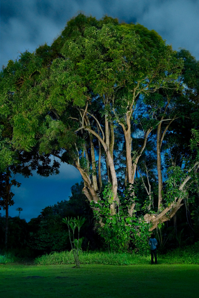 Moonlight Under the Mango
