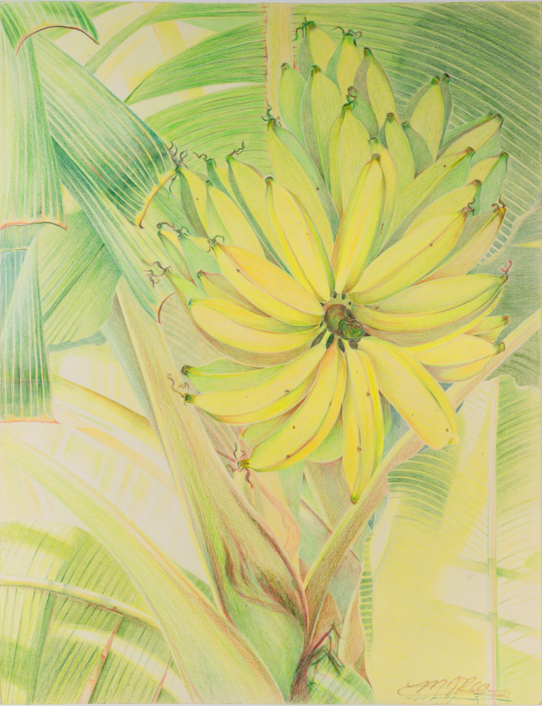 Gone Bananas Art | Marilyn Rea Nasky Art