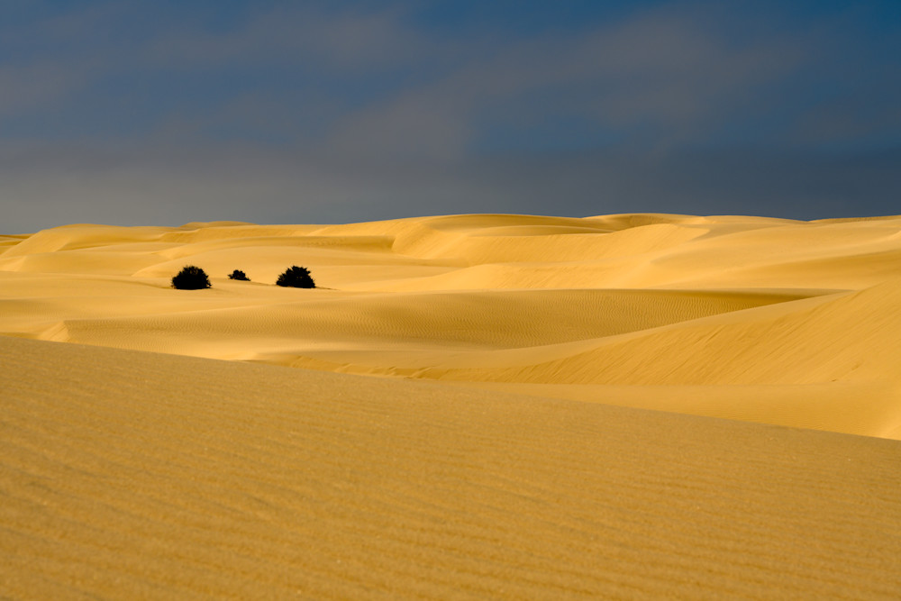 California Dunes No. 5 Photography Art | Aaron Miller Photography 
