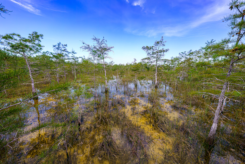 Everglades Rock Reef Pass Photography Art | LeatherMark Productions