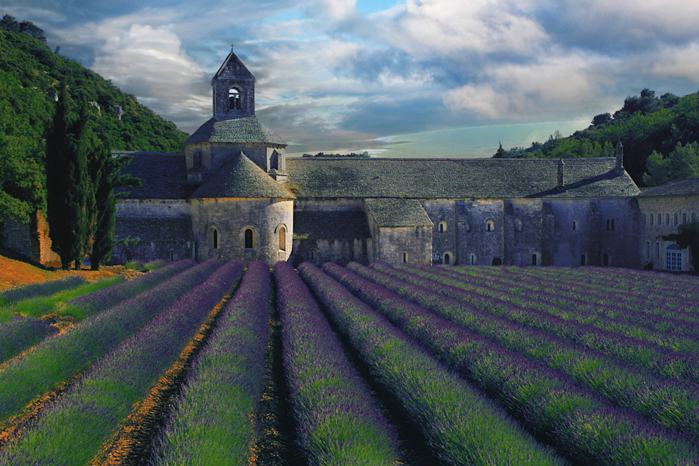 Provence Lavender Photography Art | Doug Adams Photography