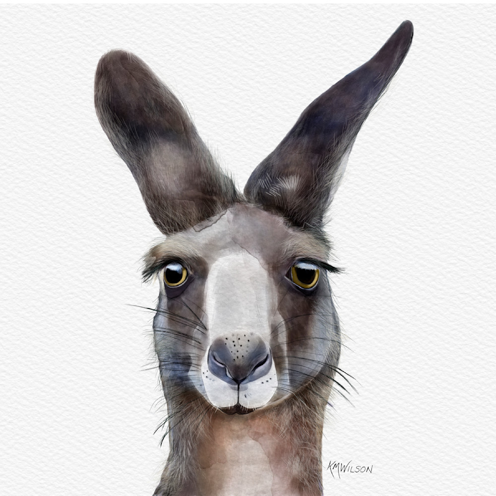 Toby The Kangaroo Art | Pendragon Art Studios