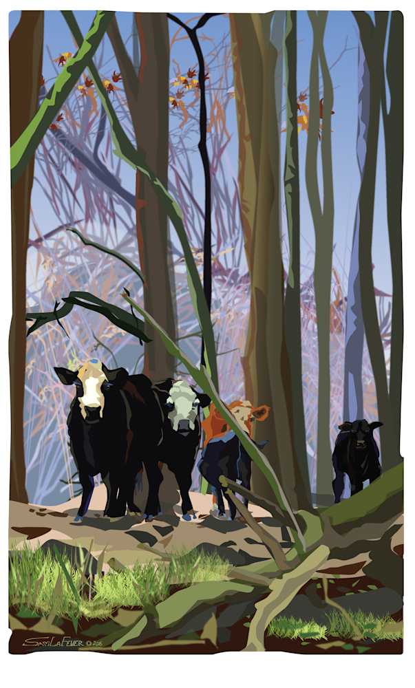 Cows In The Woods | Sam LaFever