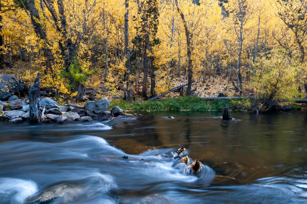 Fall colors along Rush Creek