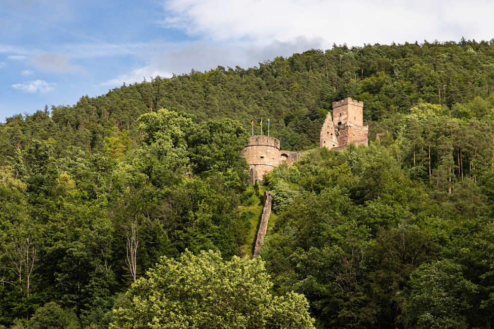 Freudenburg Castle And Forest Art | Leiken Photography