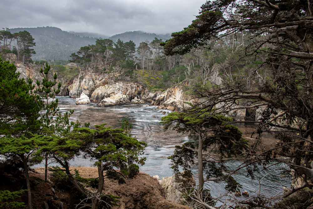 Point Lobos Photography Art | Scott Capen Photography