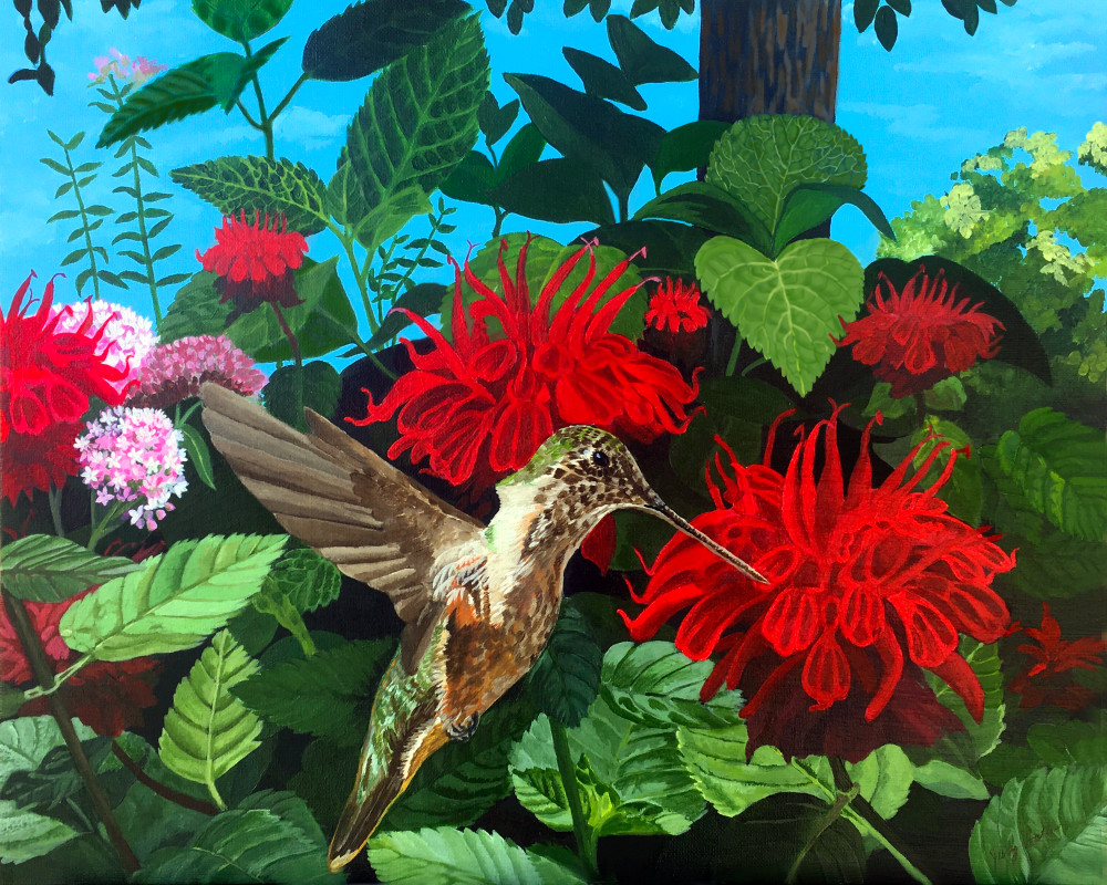Hummingbird With Red Beebalms Art | Judy's Art Co.