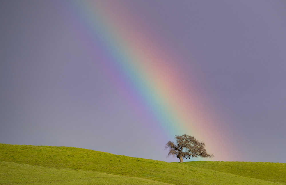 Lone Tree Rainbow