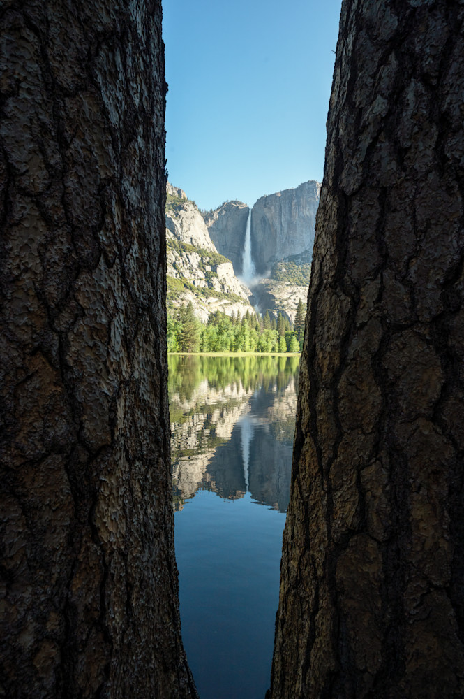 Yosemite falls and trees