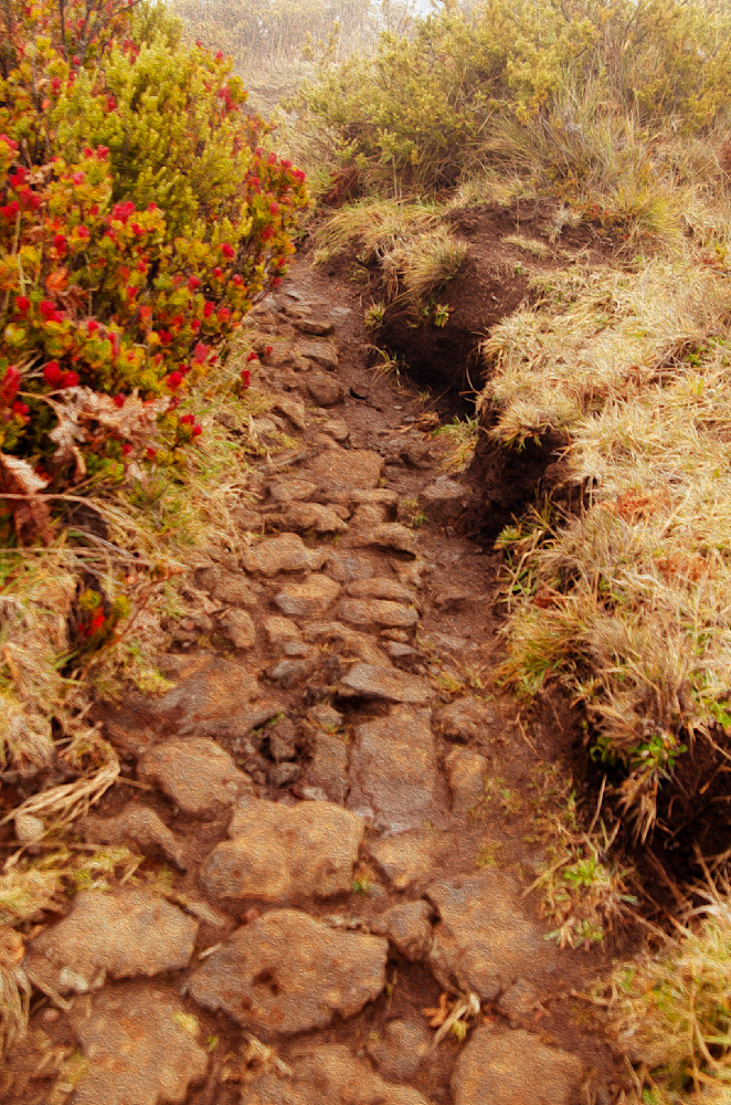Rocky Path Haleakala Photography Art | Judith Anderson Photography