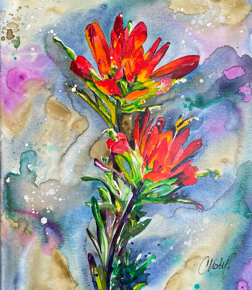 Wildflower Indian Paintbrush Watercolor Art by Christy